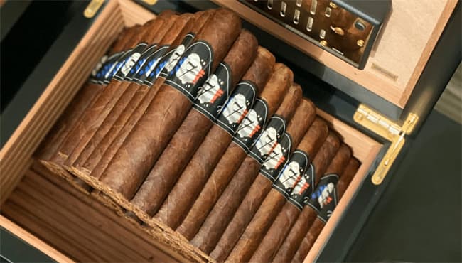 dry boxing cigar5