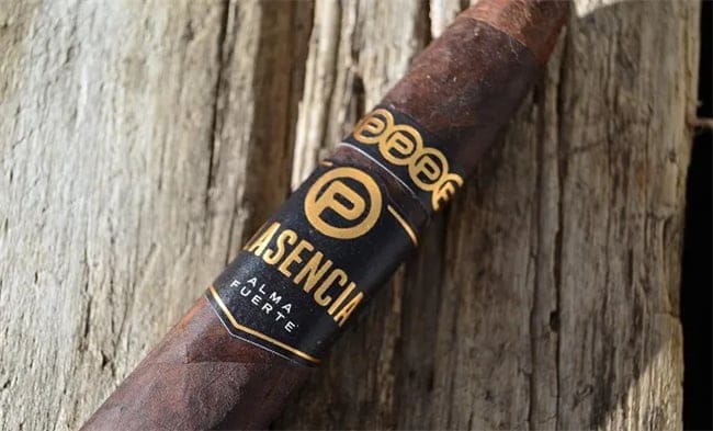 plasencia alma fuerte review9